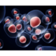 Exosomes, are tiny vesicles released by cells that facilitate intercellular communication.