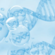 DNA molecules in spheres.