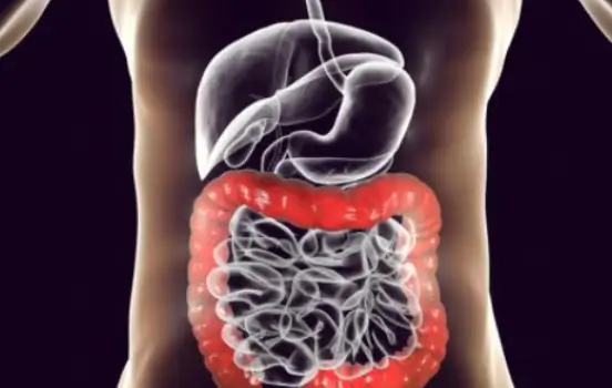 Program for longevity and anti-aging in Philadelphia represented by graphic of a healthy system.