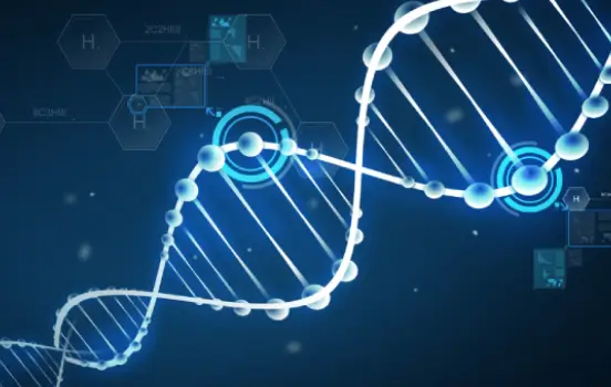 Amino acid chain representing peptide therapies for improved muscle tone, hair regrowth, boosted libido, and more.