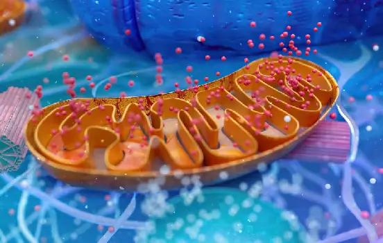 Philly Wellness Center RPA therapy and regenerative medicine represented by cell proteins.